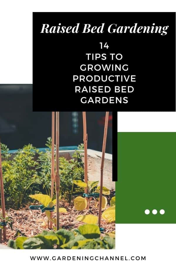 Jardin potager surélevé avec superposition de texte Jardinage surélevé quatorze conseils pour cultiver des jardins surélevés productifs