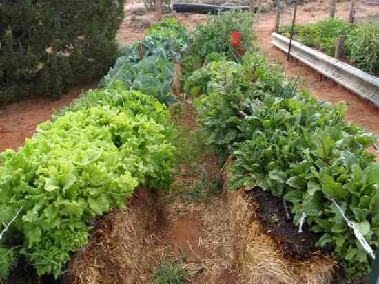 potager en ballots de paille