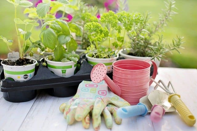 planter un jardin d'herbes