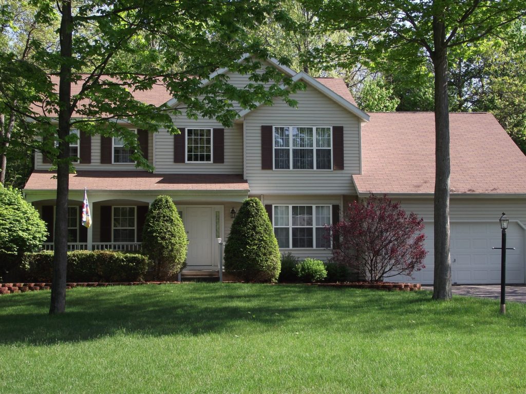 aménagement paysager d'arbres d'ombre