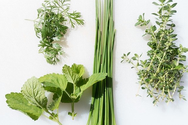 faire pousser des herbes à l'intérieur