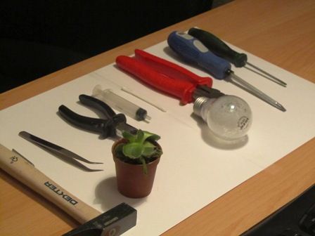 outils pour faire un terrarium à bulbes
