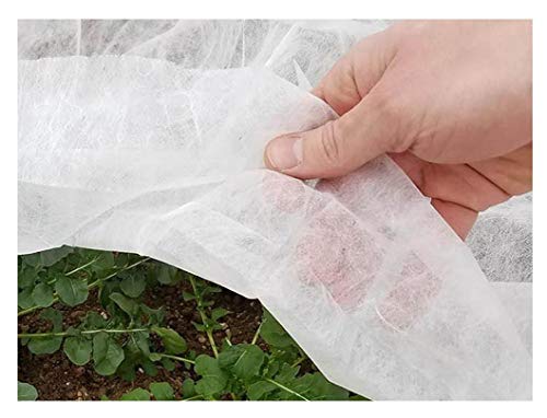 Growbiggerplants Agribon AG-19 couverture de culture en rangée flottante / couverture de givre / tissu de givre / couverture de plante en tissu de jardin
